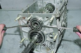 ������ ��� � ����������